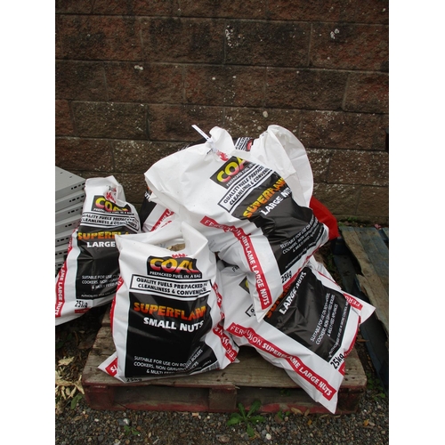 54 - Ten bags of fire wood