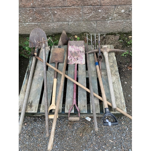 56 - An accumulation of gardening hand tools