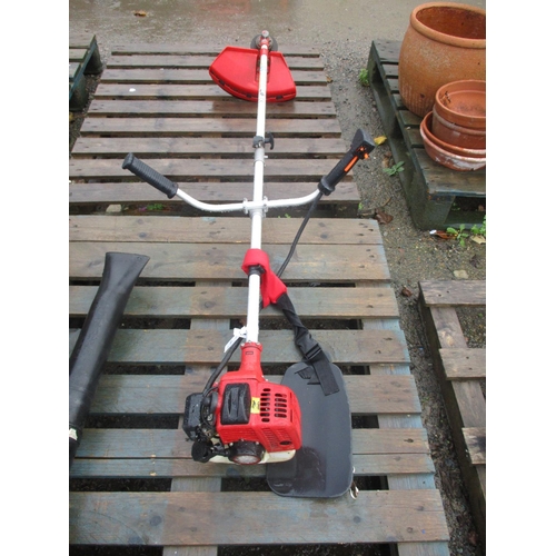 68 - A 26cc petrol pole strimmer