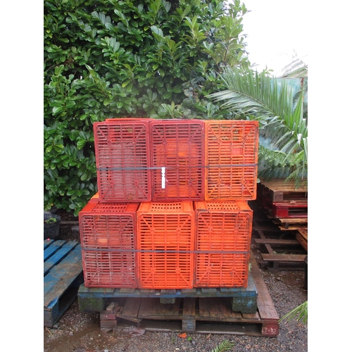 49 - A quantity of plastic storage crates