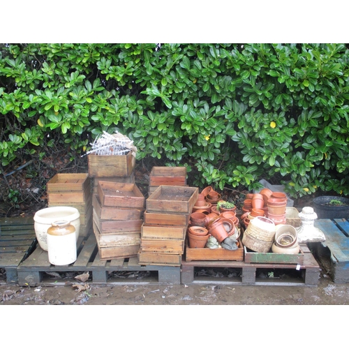 50 - An accumulation of flower pots, wooden seedling trays etc.