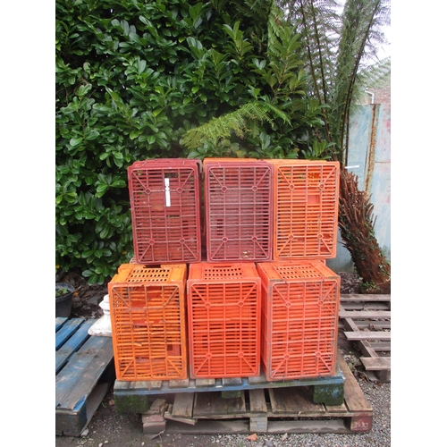 32 - A quantity of plastic storage crates