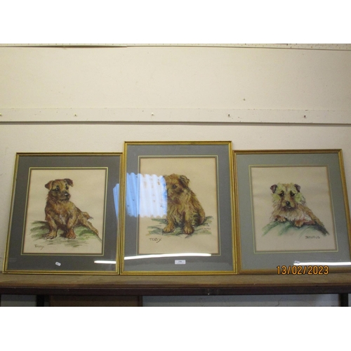 378 - Timmy, Toby and Brutus three framed pastels depicting dogs