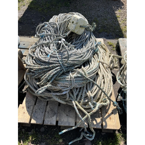 43 - A quantity of leaded pot rope