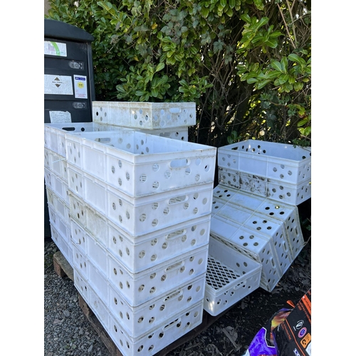 78 - Twenty five white plastic storage crates
