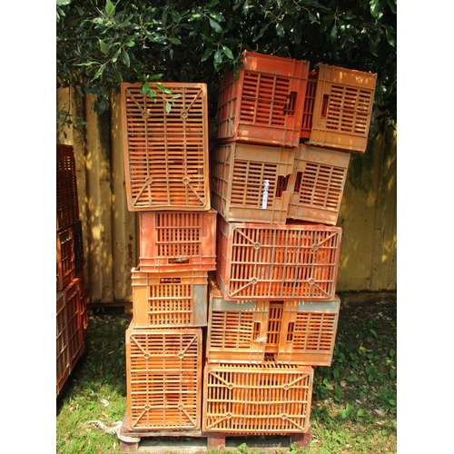 24 - A quantity of Allibert plastic storage crates