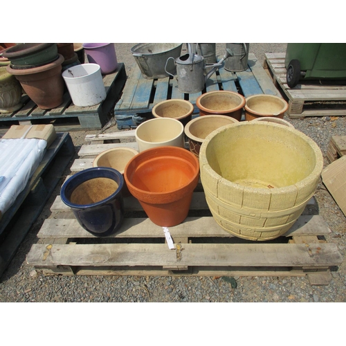 75 - An assortment of flower pots and planters