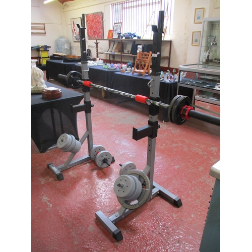 266 - A Homcom Barbell rack, bar and assorted weights together with a pair of dumbbells