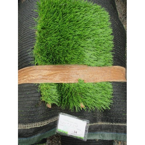 34 - A roll of Natural Lawn 38mm artificial grass (4.7m x 2m)