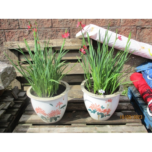 46 - A pair of salt glazed stone ware planters
