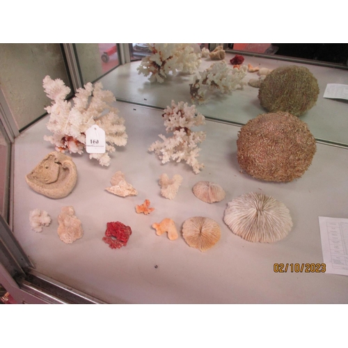 160 - Assorted vintage coral, a sea urchin etc.