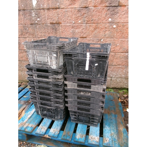 29 - A quantity of black stacking storage crates