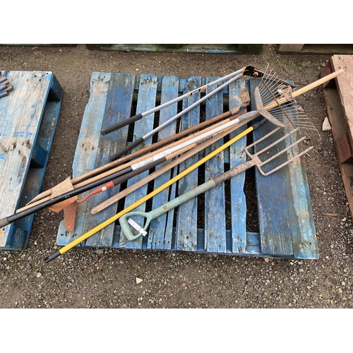 36 - An assortment of garden hand tools