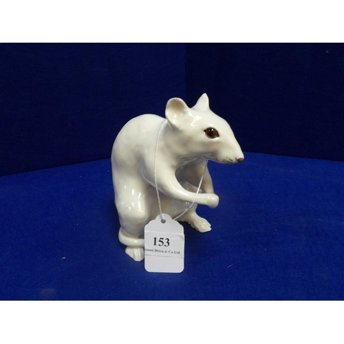 153 - A Winstanley model of a white rat