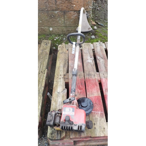 29 - A Homelite ST-15 petrol pole strimmer