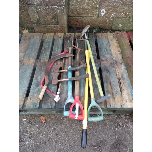 33 - An accumulation of gardening hand tools