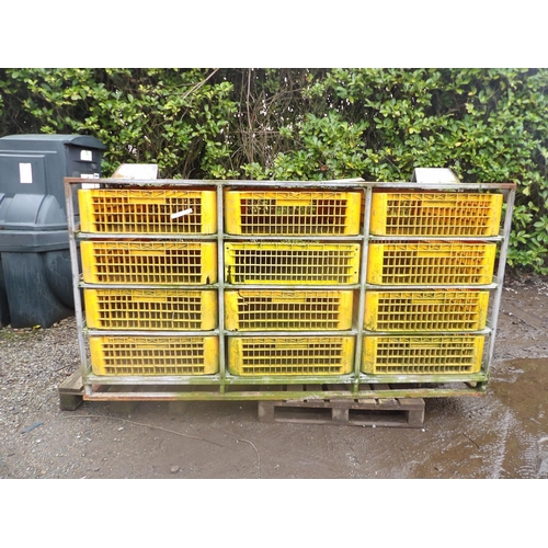 42 - A set of twelve poultry crates contained within a galvanised frame