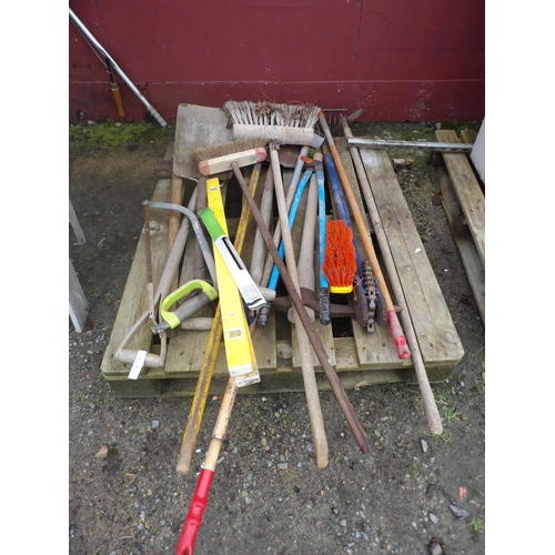 50 - An accumulation of gardening hand tools