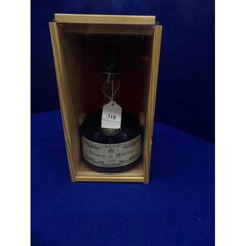 318 - A presentation bottle of 1973 Armagnac de Montal