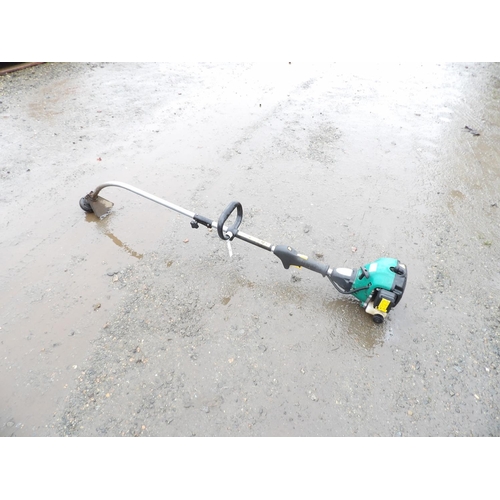 52 - A petrol pole strimmer