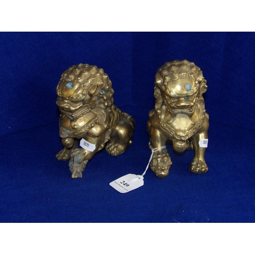 249 - A pair of brass oriental dogs of foo