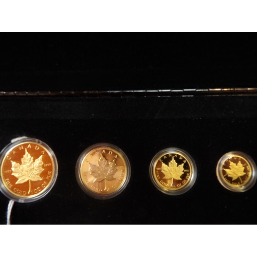 272 - A Royal Canadian Mint 1989 Gold Maple Leaf four coin collection numbered 5749