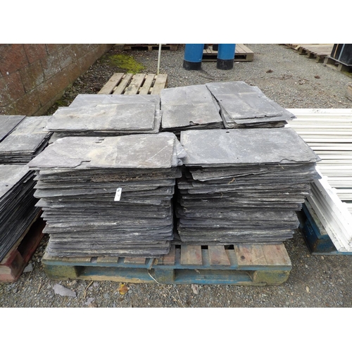 27 - A large quantity of Welsh slates - 12