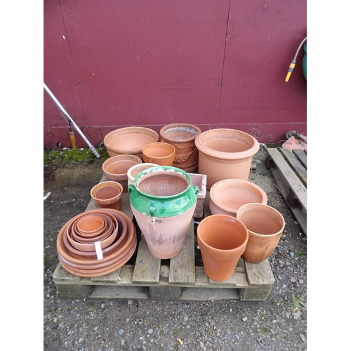 51 - An accumulation of terracotta pots planters and saucers