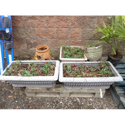 61 - A pair of simulated stone planters together with other planters and a strawberry pot