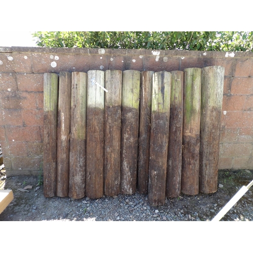 36 - Eleven lengths of tanalised landscaping timbers (approximately 150cm long)