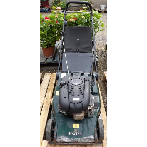 113 - A Hayter Harrier 48 Pro self propelled motor mower