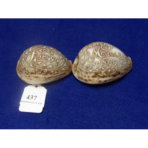 437 - Two hand engraved tiger cowry shells inscribed George Southern March 23rd 1899 and George 1899