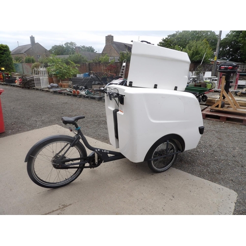 169 - A Raleigh Pro E-Cargo bicycle (100kg capacity)