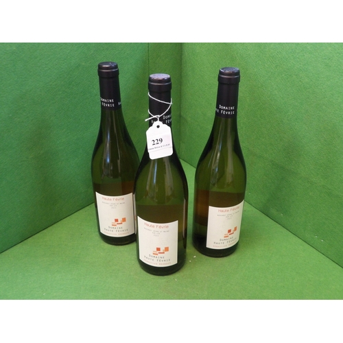 229 - Three bottles of Haute Fevrie Muscadet 2022