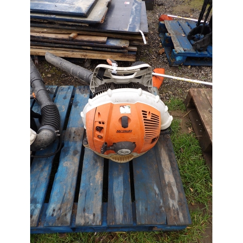 Lot 36        