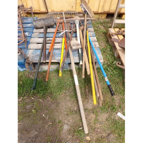 Lot 51        