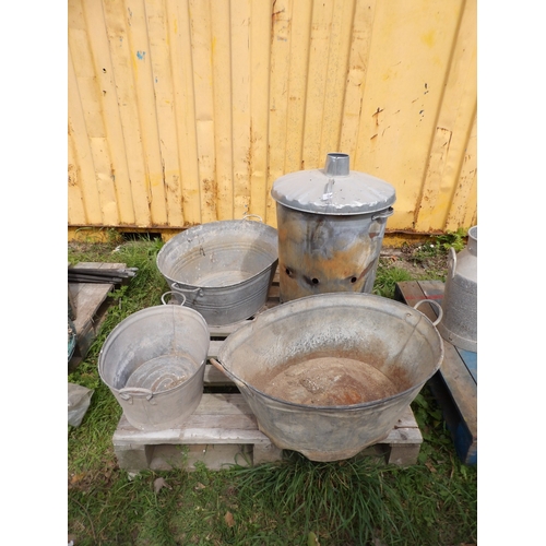 Lot 55        
