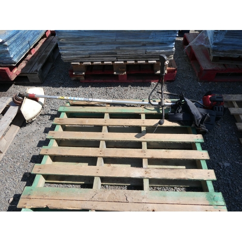 Lot 49        
