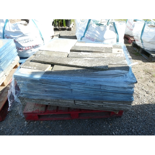 Lot 53        