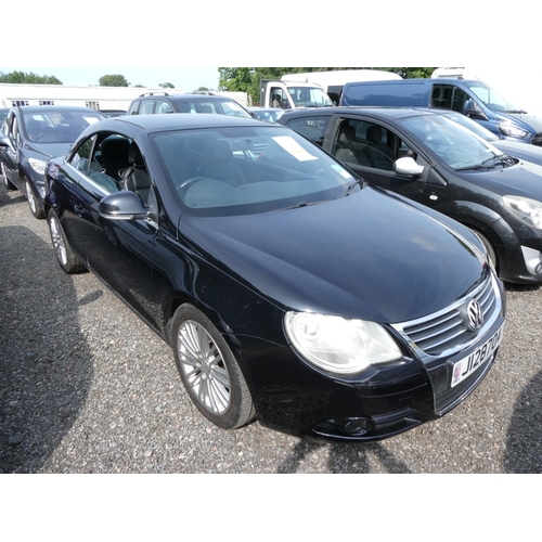 Lot 8         