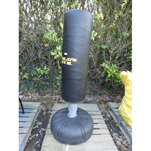 82 - A Gold's Gym free standing punch bag