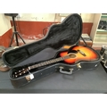 Martin Smith Akoestische Gitaarset Met Gitaarsnaren, Gitaarplectrums En Gitaarriem Standaard Blauw 639358791