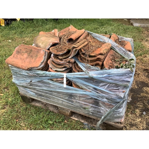 Lot 50        