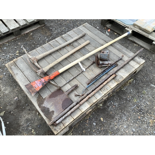 81 - Assorted pickaxes, crow bars etc.