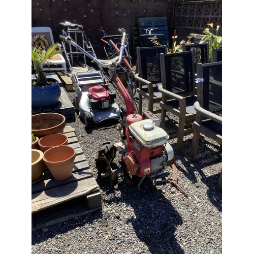 Lot 46        