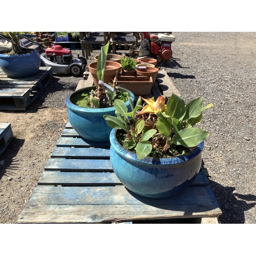 Lot 53        