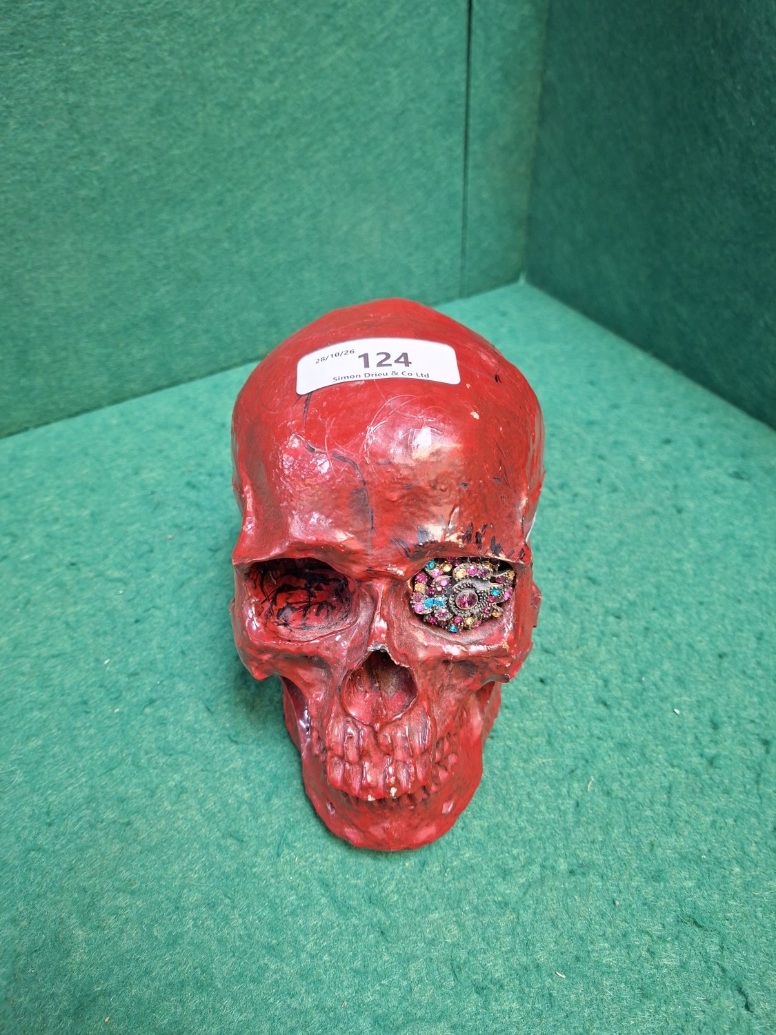 A model of the human skull