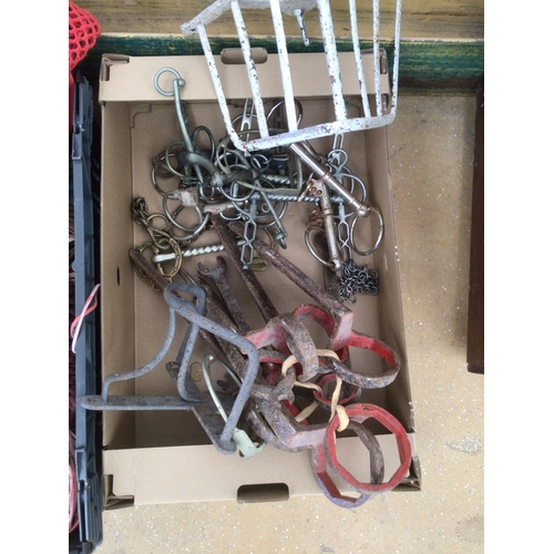 81 - Wooden box with various horse bits, lead ropes and hay nets and horse measure