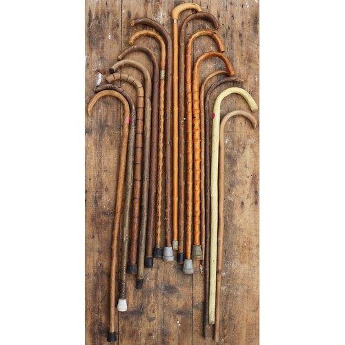 270 - 15 x Walking Sticks