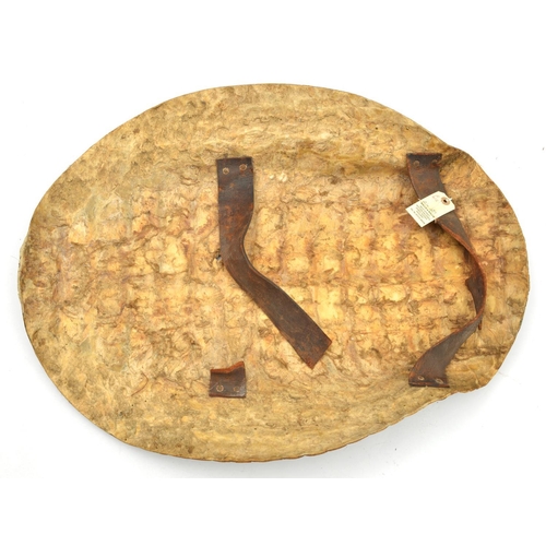 197 - A large shield made from crocodile skin. Possibly Sudanese c.1900, 68 x 53cms fitted with a pair of ... 